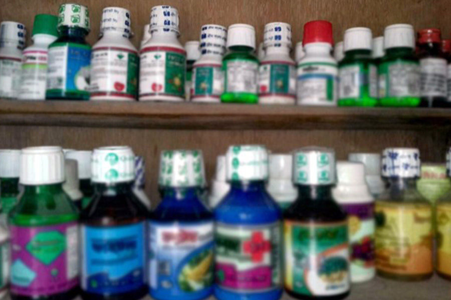 রাজশাহী অঞ্চলে ভেজাল কীটনাশকে হাট-বাজার সয়লাব