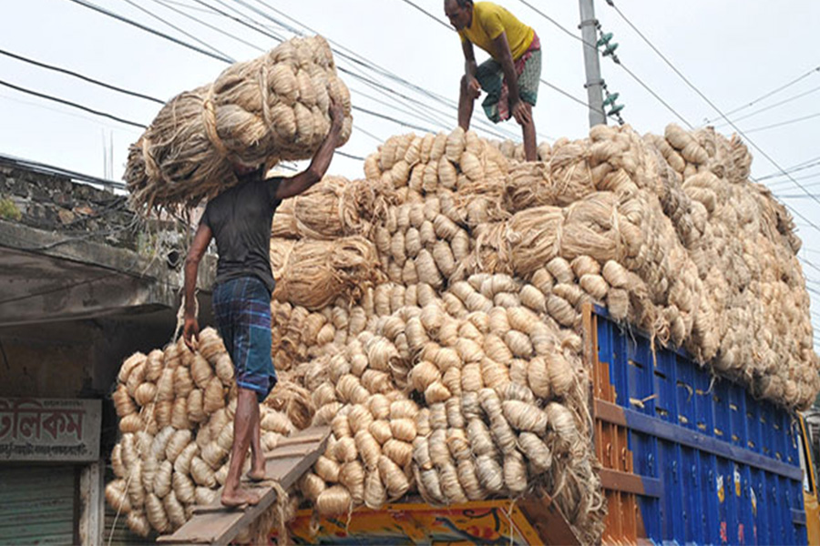 রাজশাহীতে সোনালী আঁশে কৃষকের সুদিন