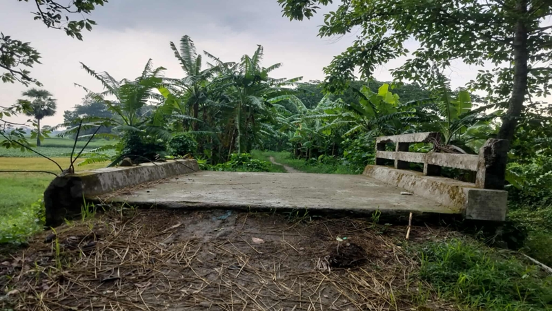 ১২ বছরেও হয়নি রাস্তা নির্মাণ, ধসে পড়েছে ব্রিজের রেলিং