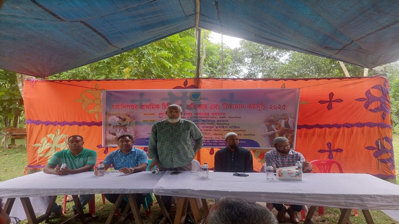 বাকৃবির উদ্যোগে গবাদিপশুর চিকিৎসা ও টিকাদান কর্মসূচি অনুষ্ঠিত