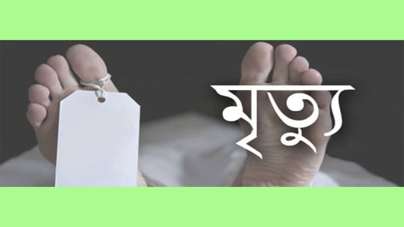 নাগেশ্বরীতে সাপের কামড়ে সাপুড়ের মৃত্যু