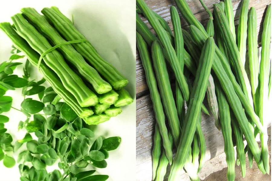 গরমে সজনে ডাঁটা, স্বাদে-গুণে শরীর রাখে সতেজ