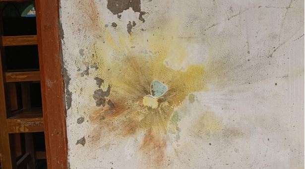 শরীয়তপুরে আইনজীবী সমিতি ভবনে বোমা হামলা