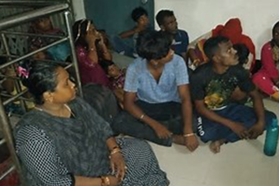 ১৫ বাংলাদেশিকে বিজিবির কাছে হস্তান্তর করল বিএসএফ