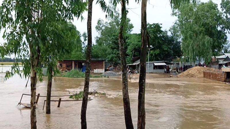 শেরপুরে পাহাড়ি ঢলে বাড়ছে নদীর পানি