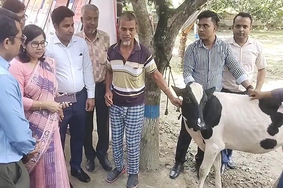 শিবচরে অগ্নিকান্ডে ক্ষতিগ্রস্থ পরিবারের মাঝে গবাদিপশু বিতরণ