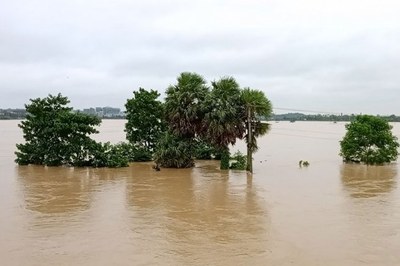 সাত নদীর পানি বিপৎসীমার ওপরে
