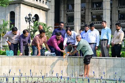 মশার বংশবিস্তার রোধে নগর ভবনের ফোয়ারায় ছাড়া হলো মাছের পোনা