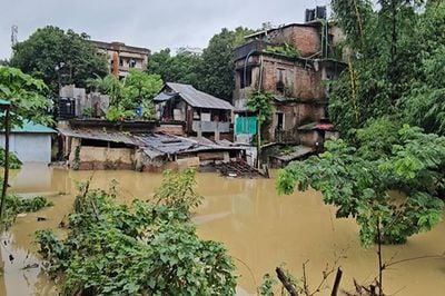 ছবি: ভিওডি বাংলা