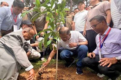 বৃক্ষরোপণ কর্মসূচির উদ্বোধন করলেন প্রধানমন্ত্রী