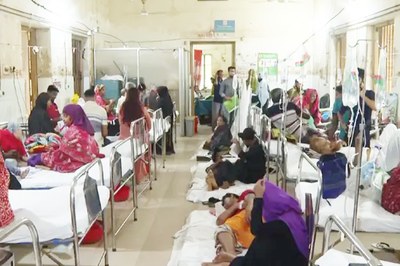 ডেঙ্গুতে ২৪ ঘণ্টায় মৃত্যু ৫, হাসপাতালে ভর্তি ৩৮৭