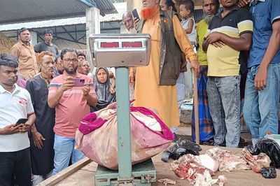 রাজারহাটে ১ মন পচা মহিষের মাংস জব্দ, মাটিচাপা দিয়ে বিনষ্ট