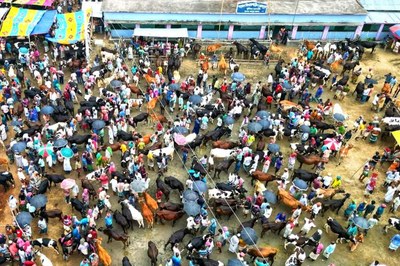 ভাঙ্গুড়ার শরৎনগর হাটের টোল রেট পুনঃনির্ধারণের দাবি