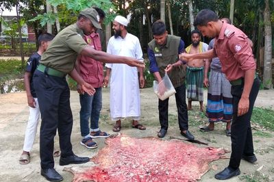 চামড়া নিয়ে ঝামেলায় পড়লে আনসারকে বলুন