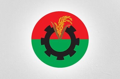 বিএনপির লোগো