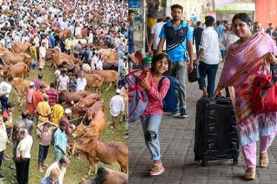 ঈদযাত্রা ও পশুর হাট নিয়ে ডিএমপির বিশেষ নির্দেশনা