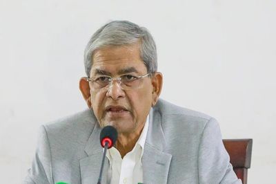 জন্ম থেকে মৃত্যু পর্যন্ত মানুষের সর্বশেষ আশ্রয়স্থল মা : মির্জা ফখরুল
