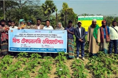 গলাচিপায় কৃষকদের নিয়ে মাঠ পর্যায়ে প্রযুক্তি দিকনির্দেশনা কর্মসূচি
