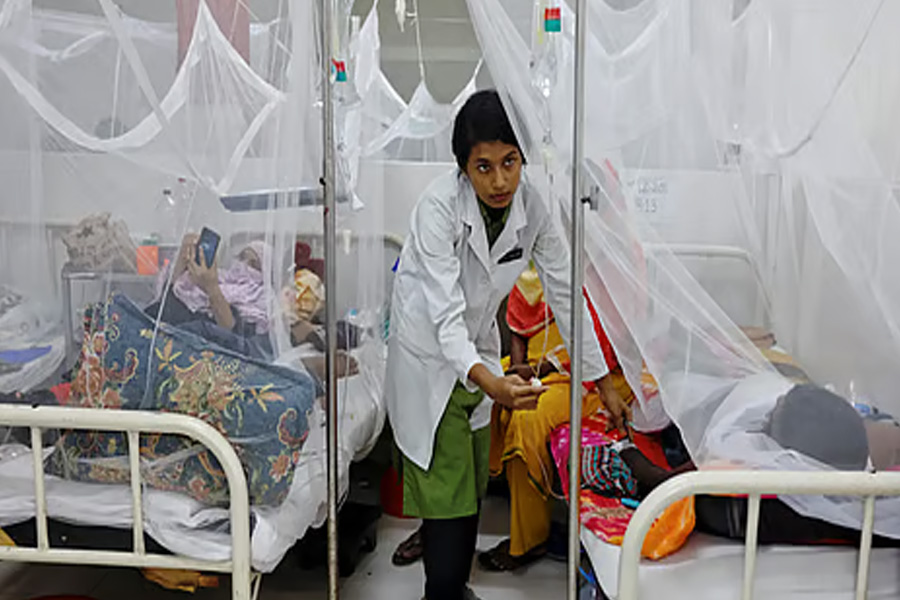 ডেঙ্গুতে প্রাণ গেল ৪ জনের, হাসপাতালে ৮০৩