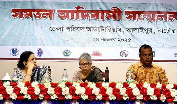 মানবাধিকার লঙ্ঘিত হলেই দেশে শান্তি লঙ্ঘিত হবে: সুলতানা কামাল