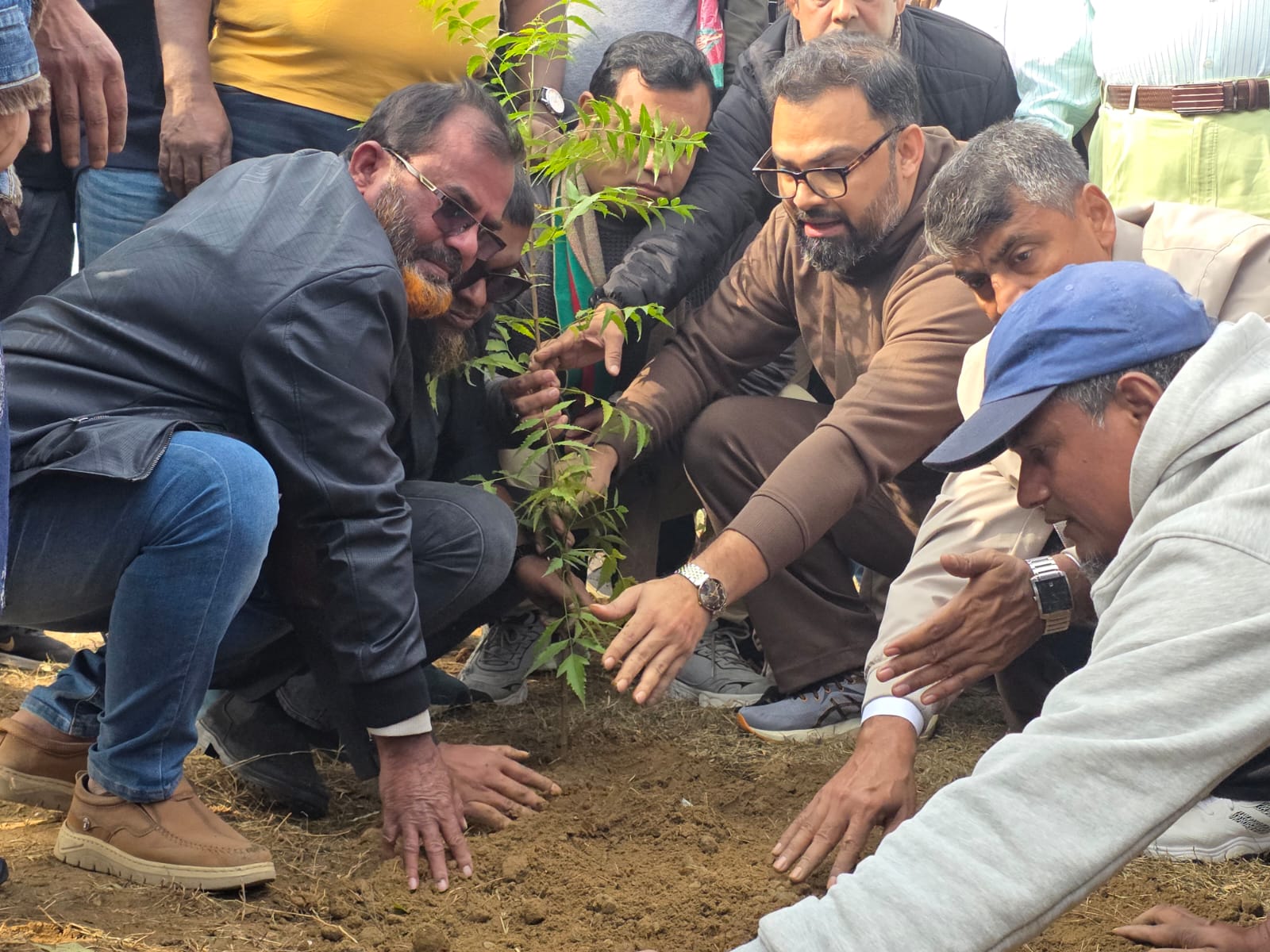 জুলাই ৩৬ এক্সপ্রেসওয়েতে গাছ লাগাল বিএনপি