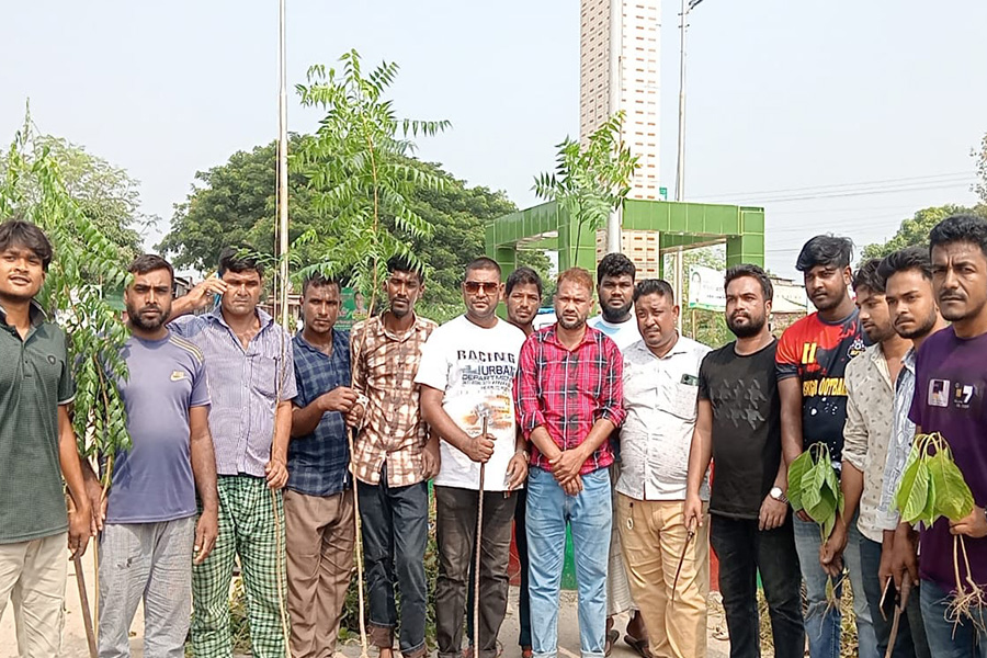 ভাঙ্গুড়ায় যুবদলের বৃক্ষরোপণ ও পরিচ্ছন্নতা কর্মসূচি সম্পন্ন